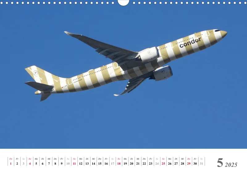 Condor Ringelsocken 2025: Ein Jahr mit den A330neo