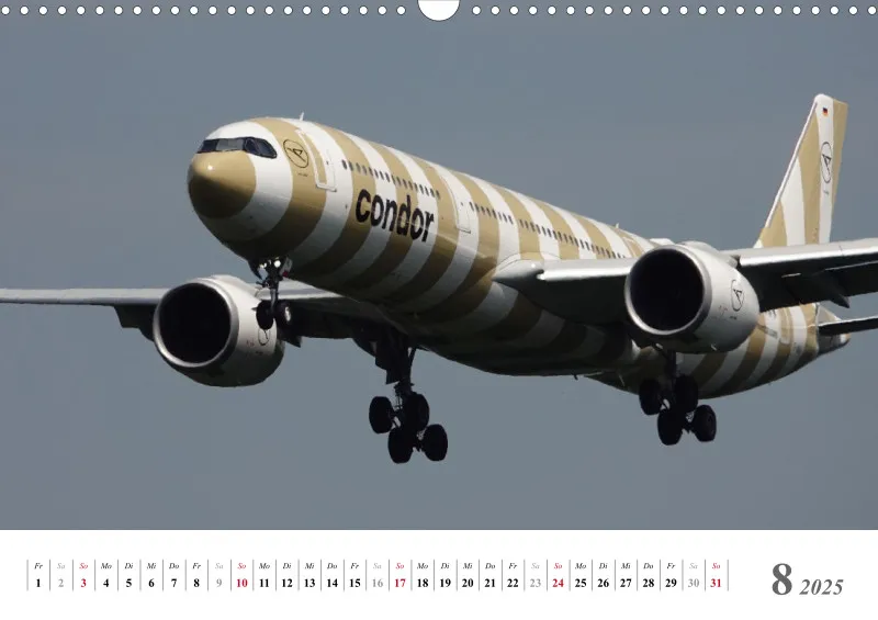 Condor Ringelsocken 2025: Ein Jahr mit den A330neo
