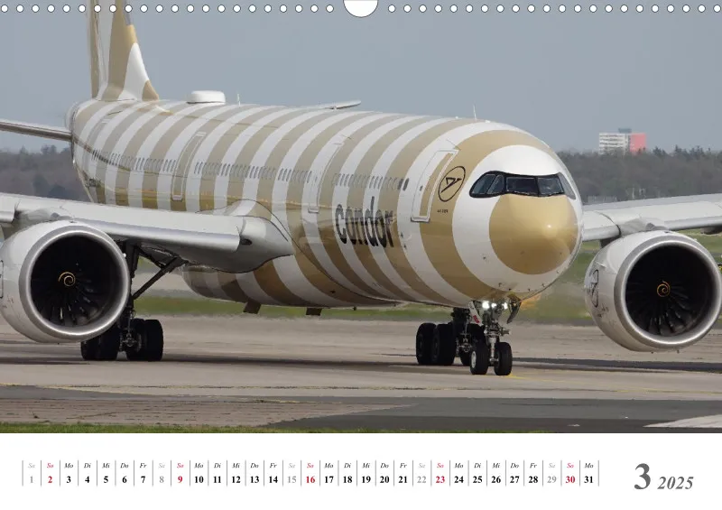 Condor Ringelsocken 2025: Ein Jahr mit den A330neo