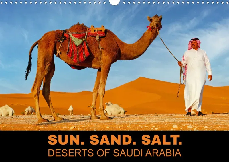 SUN. SAND. SALT. DESERTS OF SAUDI ARABIA