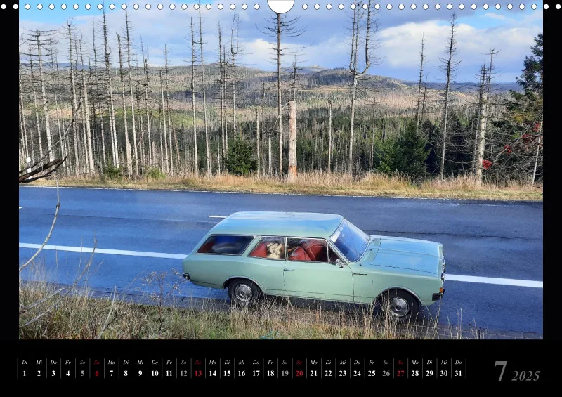Kalender 25