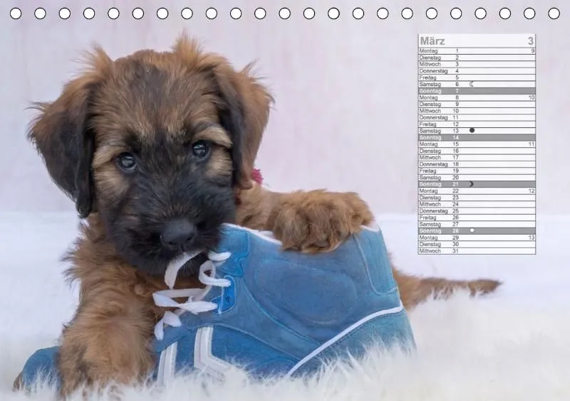 Mondkalender 2021