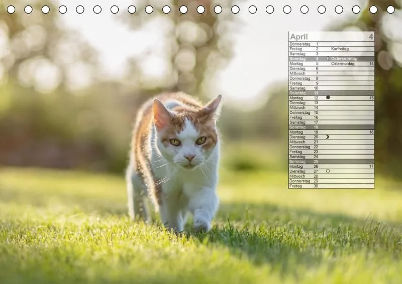 Mondkalender 2021