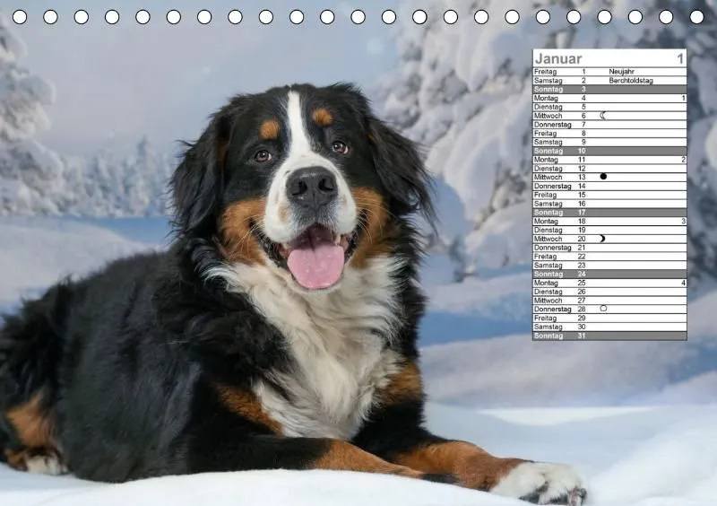 Mondkalender 2021