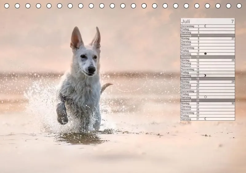 Mondkalender 2021