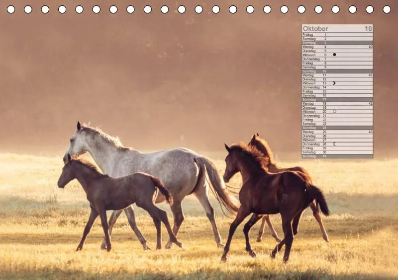 Mondkalender 2021