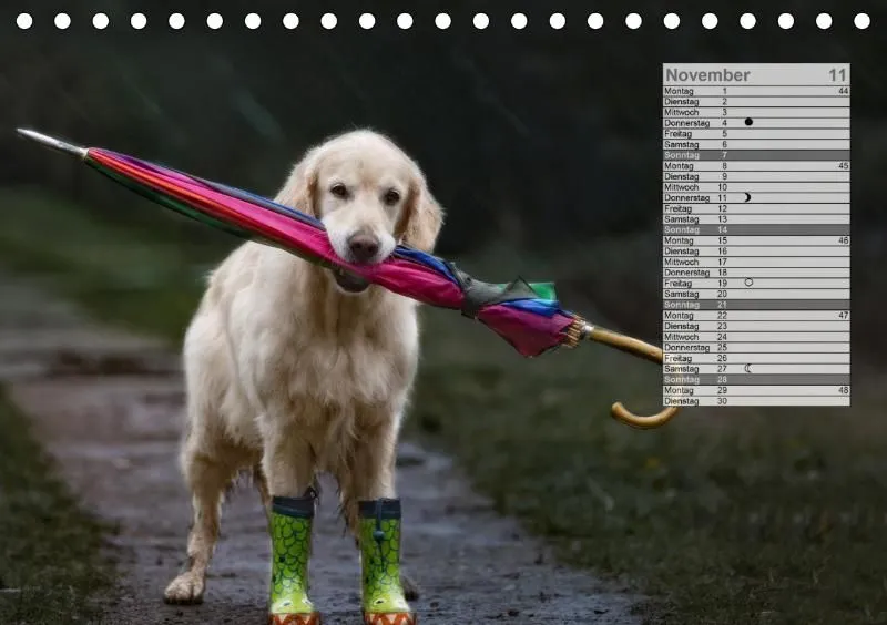 Mondkalender 2021