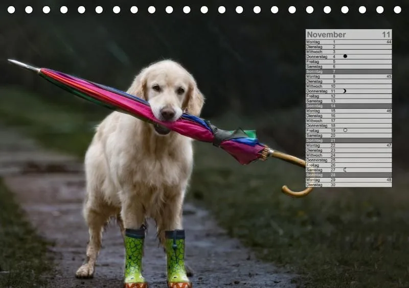 Mondkalender 2021