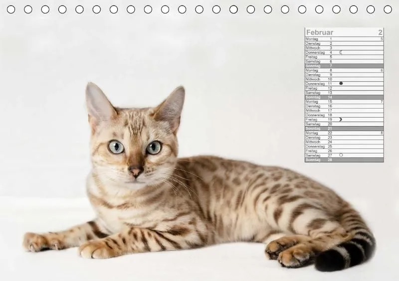 Mondkalender 2021