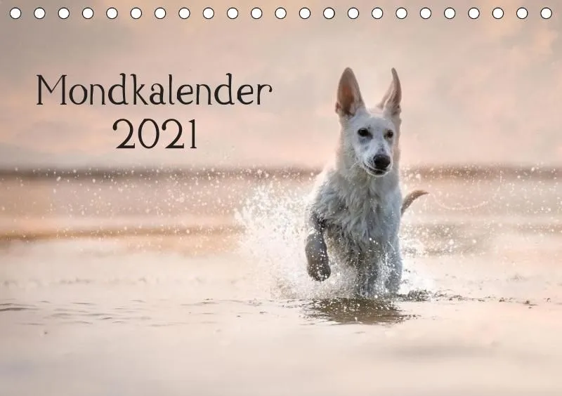 Mondkalender 2021