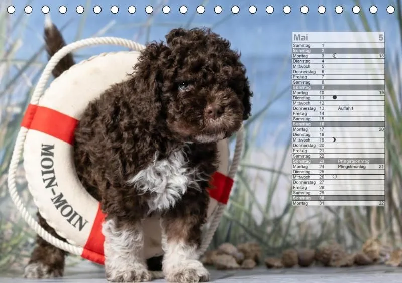 Mondkalender 2021