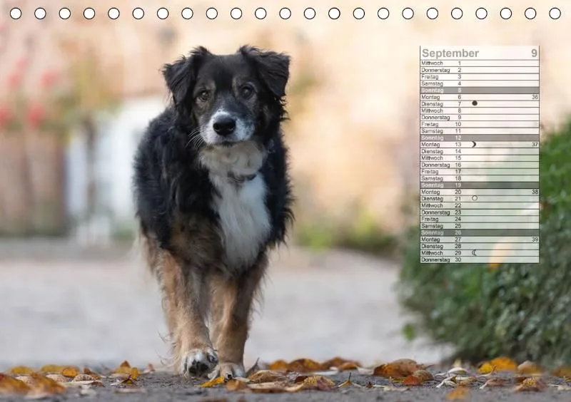 Mondkalender 2021