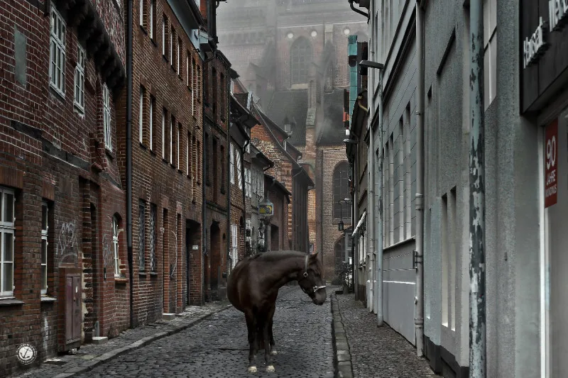Die hohle Gasse