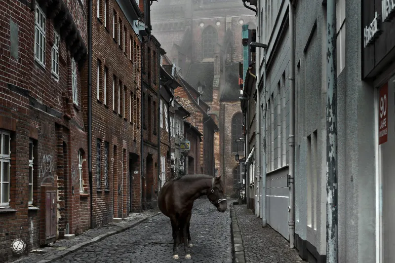 Die hohle Gasse
