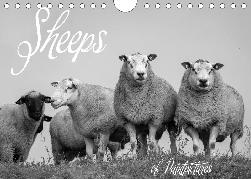 Paintpictures Sheeps
