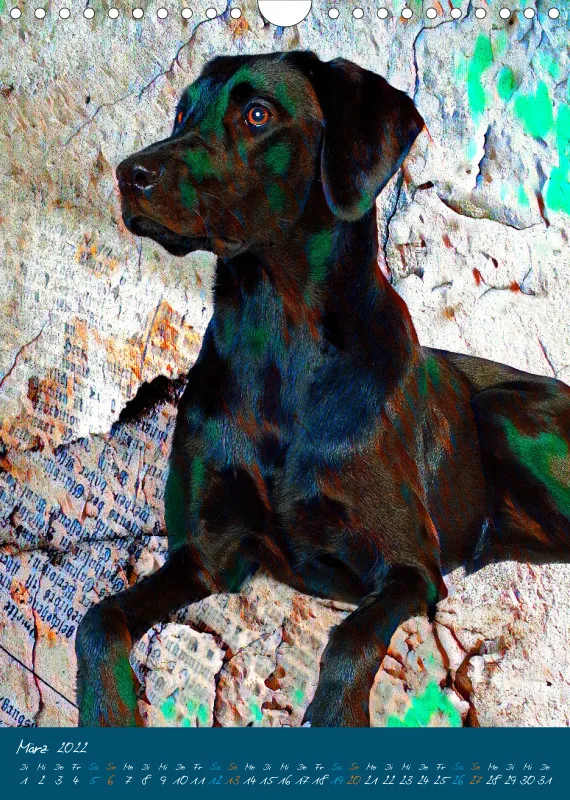 Die bunten Hunde