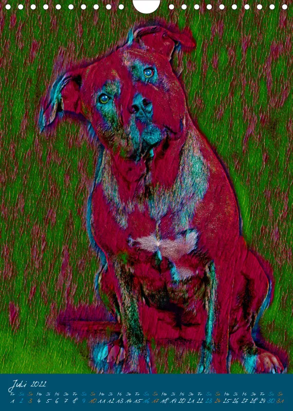 Die bunten Hunde