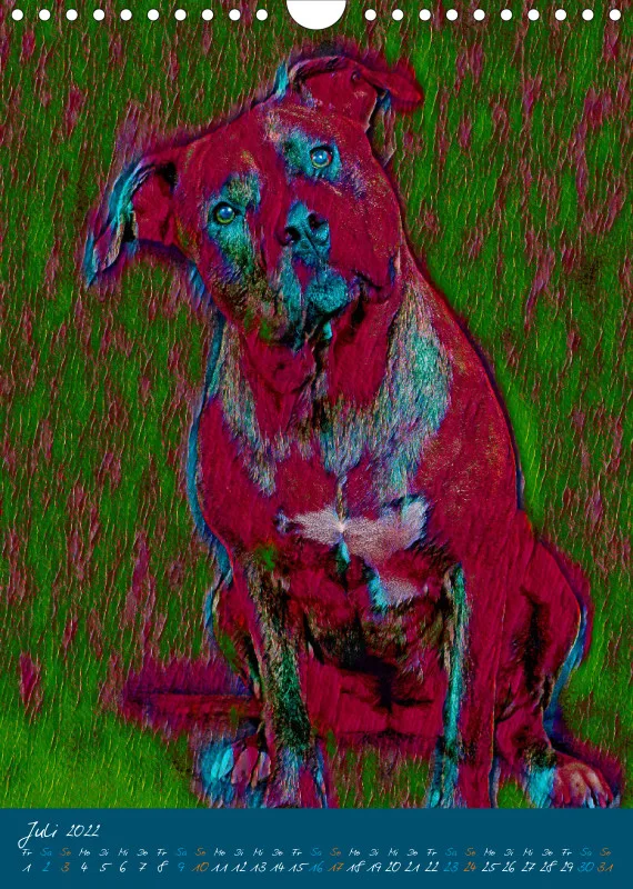 Die bunten Hunde
