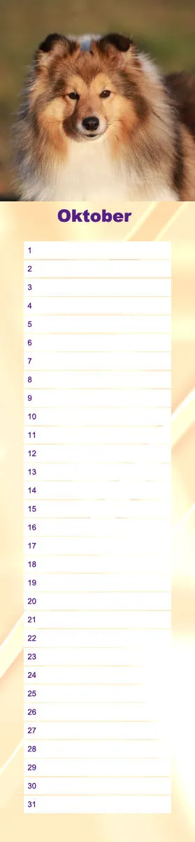 Geburtstagskalender Sheltie