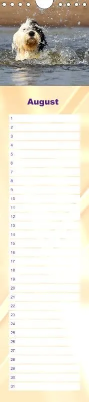 Geburtstagskalender Bobtail