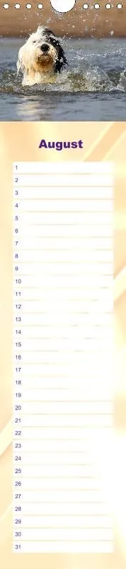 Geburtstagskalender Bobtail
