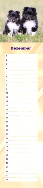 Geburtstagskalender Sheltie