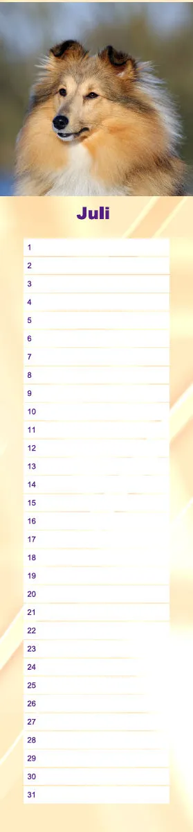 Geburtstagskalender Sheltie