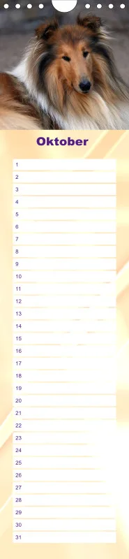 Geburtstagskalender Collie
