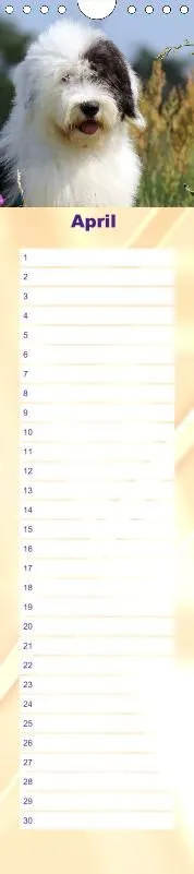 Geburtstagskalender Bobtail