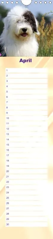Geburtstagskalender Bobtail
