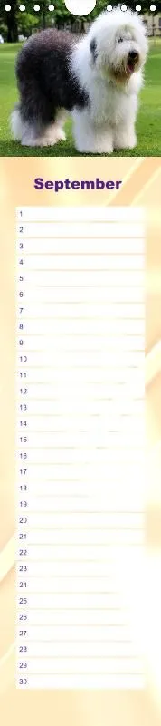 Geburtstagskalender Bobtail