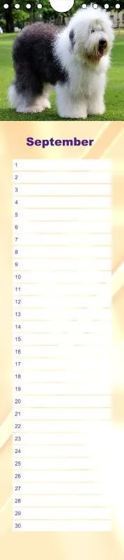 Geburtstagskalender Bobtail