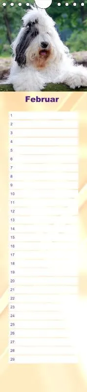 Geburtstagskalender Bobtail