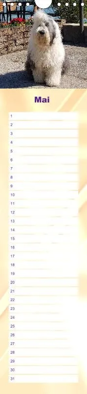 Geburtstagskalender Bobtail