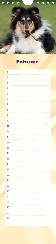 Geburtstagskalender Collie