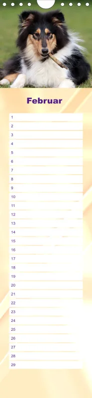 Geburtstagskalender Collie