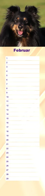 Geburtstagskalender Sheltie