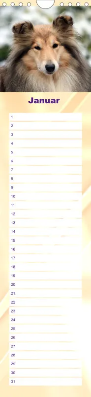 Geburtstagskalender Collie