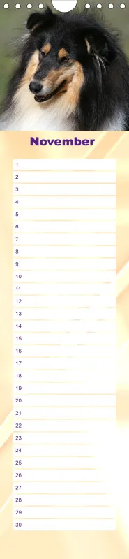 Geburtstagskalender Collie