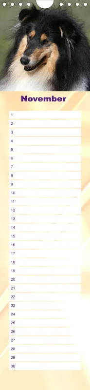 Geburtstagskalender Collie