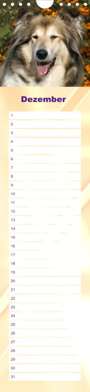 Geburtstagskalender Collie