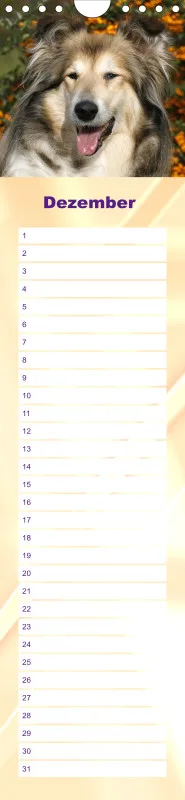 Geburtstagskalender Collie