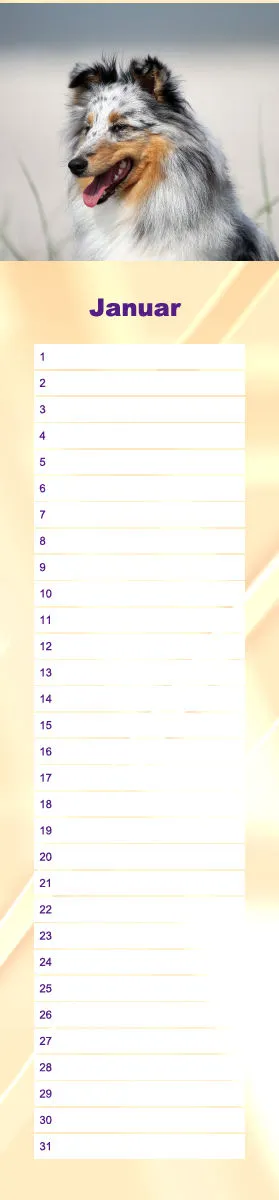 Geburtstagskalender Sheltie