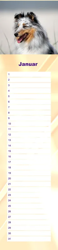 Geburtstagskalender Sheltie