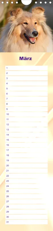 Geburtstagskalender Collie
