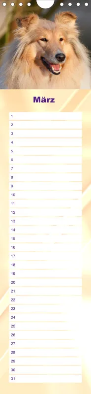 Geburtstagskalender Collie