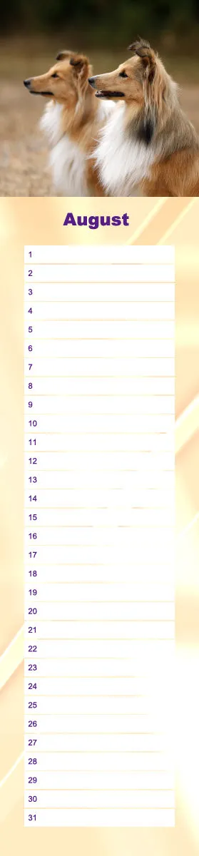 Geburtstagskalender Sheltie