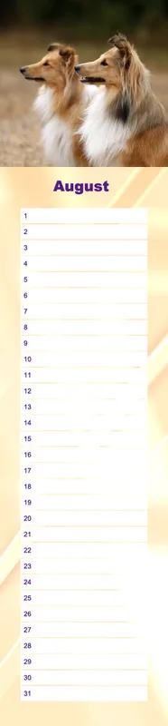 Geburtstagskalender Sheltie