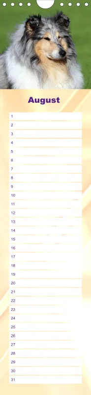 Geburtstagskalender Collie