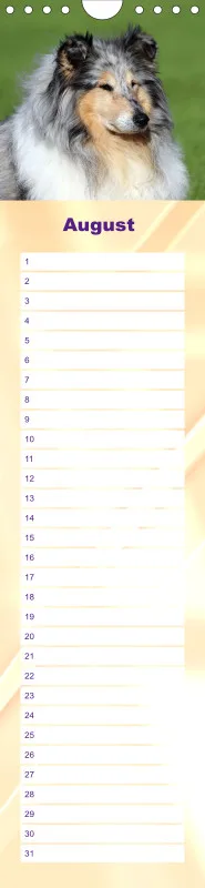 Geburtstagskalender Collie